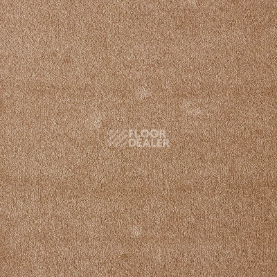 Ковролин AW Seduction 41 фото 1 | FLOORDEALER